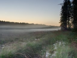 IMGP8291_HDR_Morgenstemning